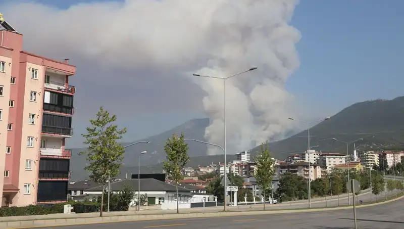 Denizli’de Orman Yangını: Şüpheli Gözaltında, Yangınla Mücadele Devam Ediyor