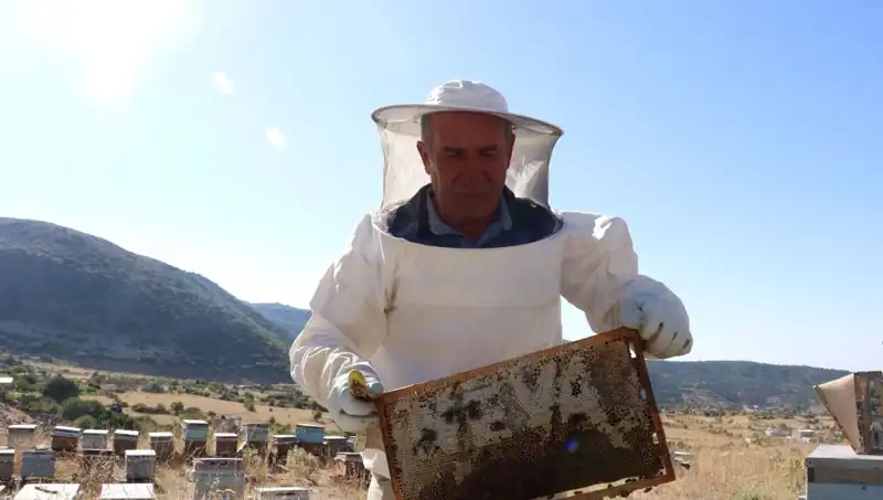 25 Yıl Sonra Yeniden Mobilya Üretimi: 2 Ton Başarı Elde Etti